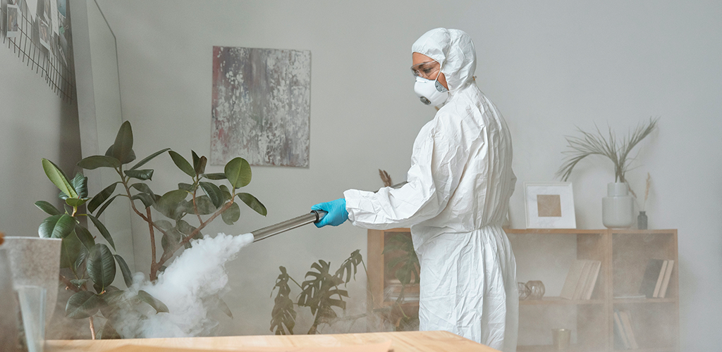 Servicios Desratización, desinsectación y desinfección en comunidades de vecinos