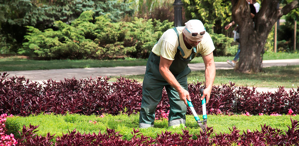 Mantenimiento Jardín