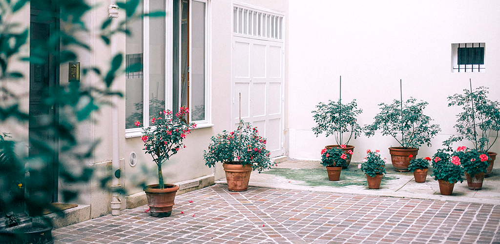 Obligaciones que tenías en tu patio comunitario y no conocías